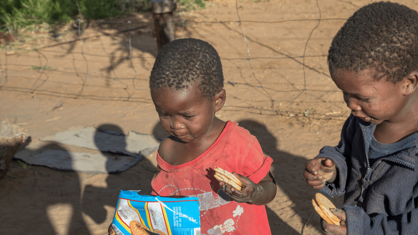 Humanitarian Crisis Deepens in Gaza: WHO Confirms 21 Children Dead from Malnutrition in 2025 zyael talks